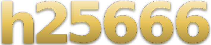 h25666 โลโก้